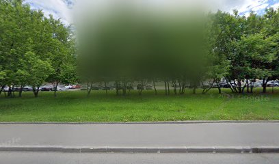Без правил