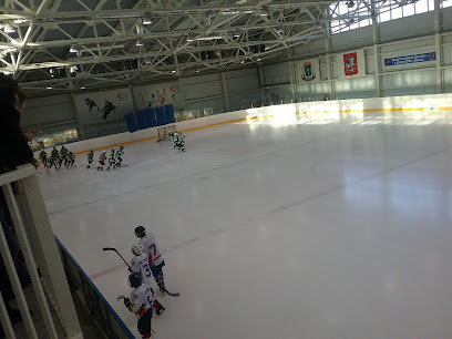 Физкультурно-оздоровительный комплекс Звезда