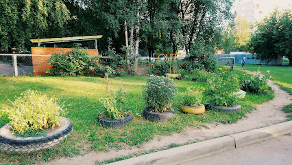 Детский Сад № 29