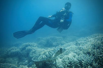 клуб Love Live Dive
