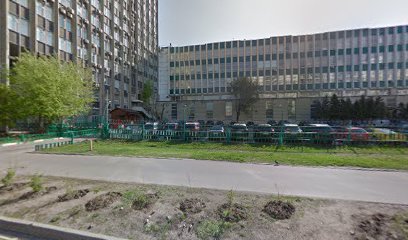 Школа Японского Языка "Момидзи"