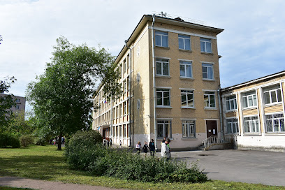 Лицей № 393
