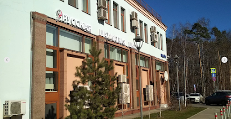 Городской лагерь Русской Шахматной Школы