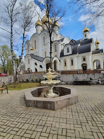 Храм Матроны Московской в Дмитровском