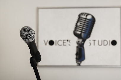 Студия вокала VOICE`STUDIO