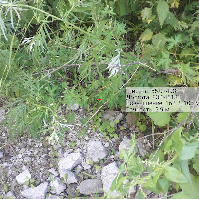 Детский сад № 509