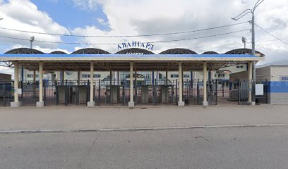 АРБ Домодедово