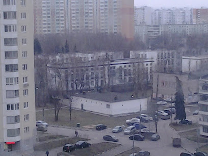 Школа №1002
