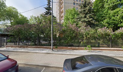 Школа музыки для взрослых и детей