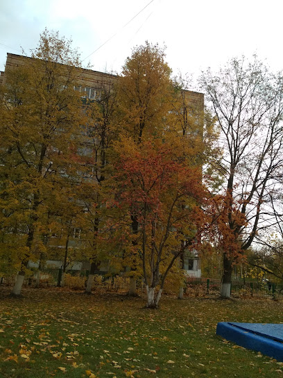 Дом Детского Творчества, МОУ