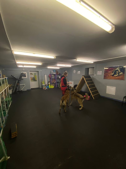 Школа дрессировки собак DogPark