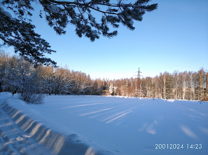 Сосновский парк