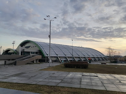 Манеж Узтм