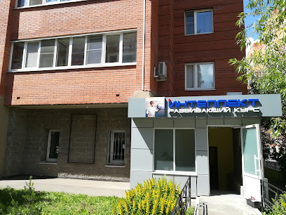 Интеллект Развивающий Курс
