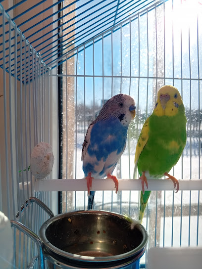 Семейные классы "Люмос"