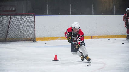 Хоккейная школа Genesis Hockey