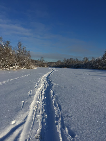 р. Каменка