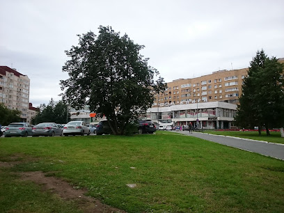 Дом книги