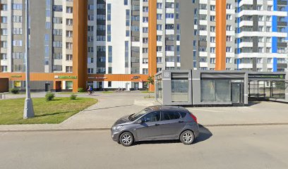 РСГ-Академическое