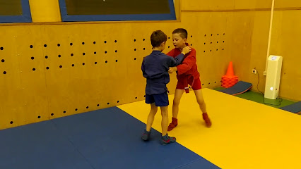 Спортивный комплекс «Солнечный»