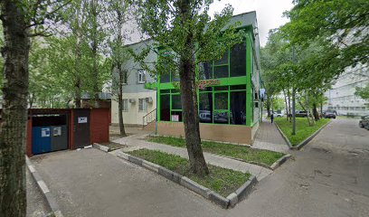 Возрождение Художественная Студия