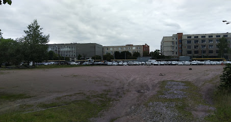 Выборжанин, ДЮСШ