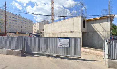 Петровские Львы