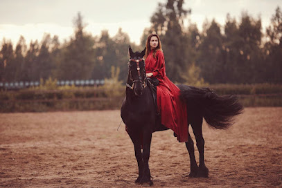 Fairytale horse
