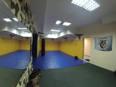 Клуб борьбы А54 (единоборства, грэпплинг, борьба, MMA, тренажёрный зал)