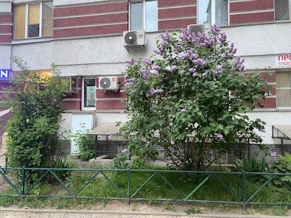Студия KALIPSO