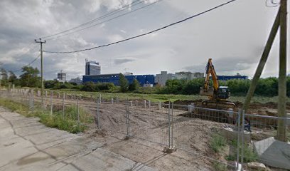 Ромашки