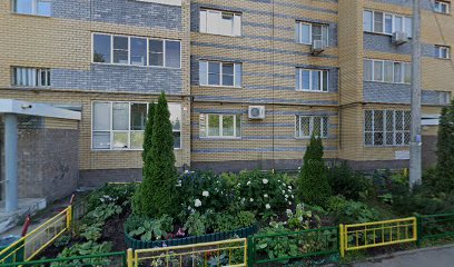 НОУ "Детский центр "СЁМА"