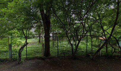 Формен