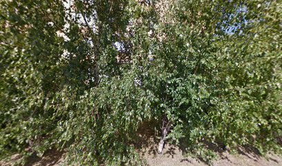 АНО Детский ценр развития КАРТМАШКИ