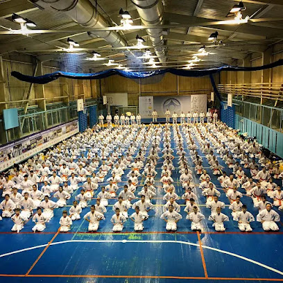 РЕЗУЛЬТАТ, спортивный клуб каратэ