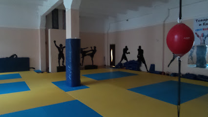 Спортивный клуб Тхэквондо "Ястреб"
