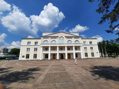 ДТШ "СемьЯ"