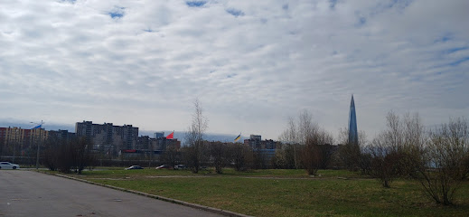 Школa природного голоса