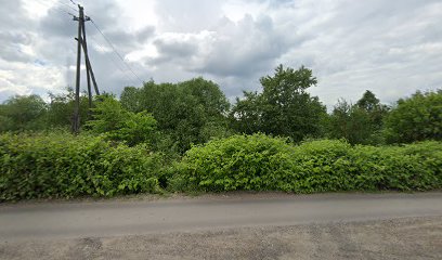 Лабиринты Шахмат