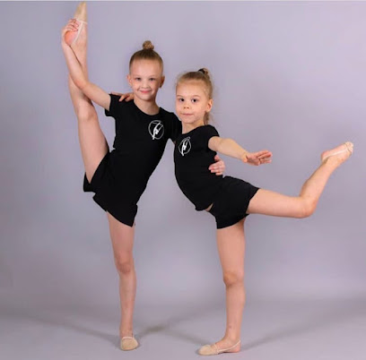 Секция художественной гимнастики "Rhythmic stars"
