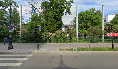 Буревестник