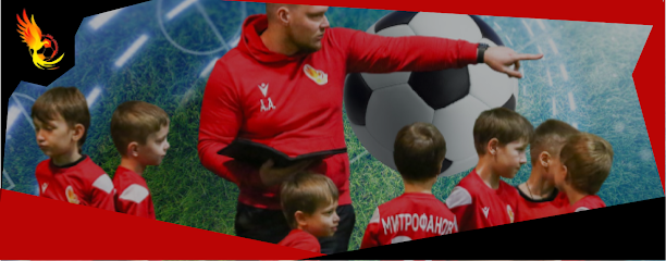 Детский Футбольный клуб «Феникс»