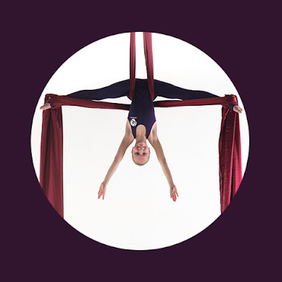Студия воздушной гимнастики Airdance на Ладожской