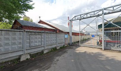 Салюс