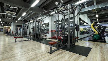 Фитнес-клуб ALEX FITNESS - Бирюлёво