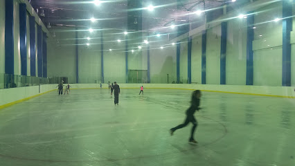 Спортивная секция по хоккею "Трудовые резервы"