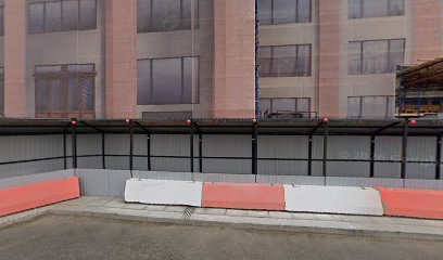 Белокаменная Дтсш
