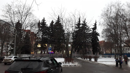 Пироговская СДШИ