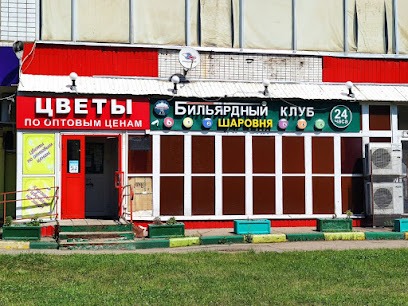Бильярдный клуб Шаровня