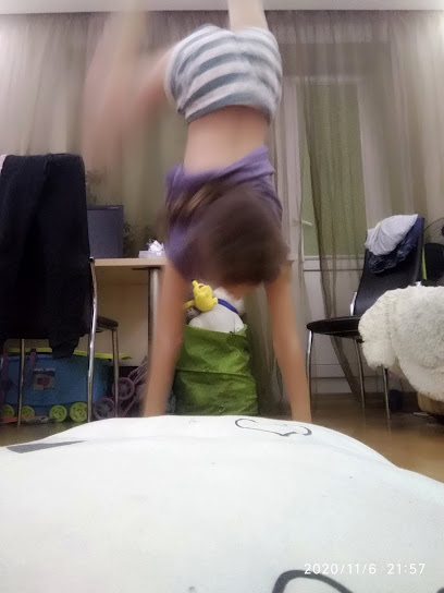 Федерация Спортивной Акробатики
